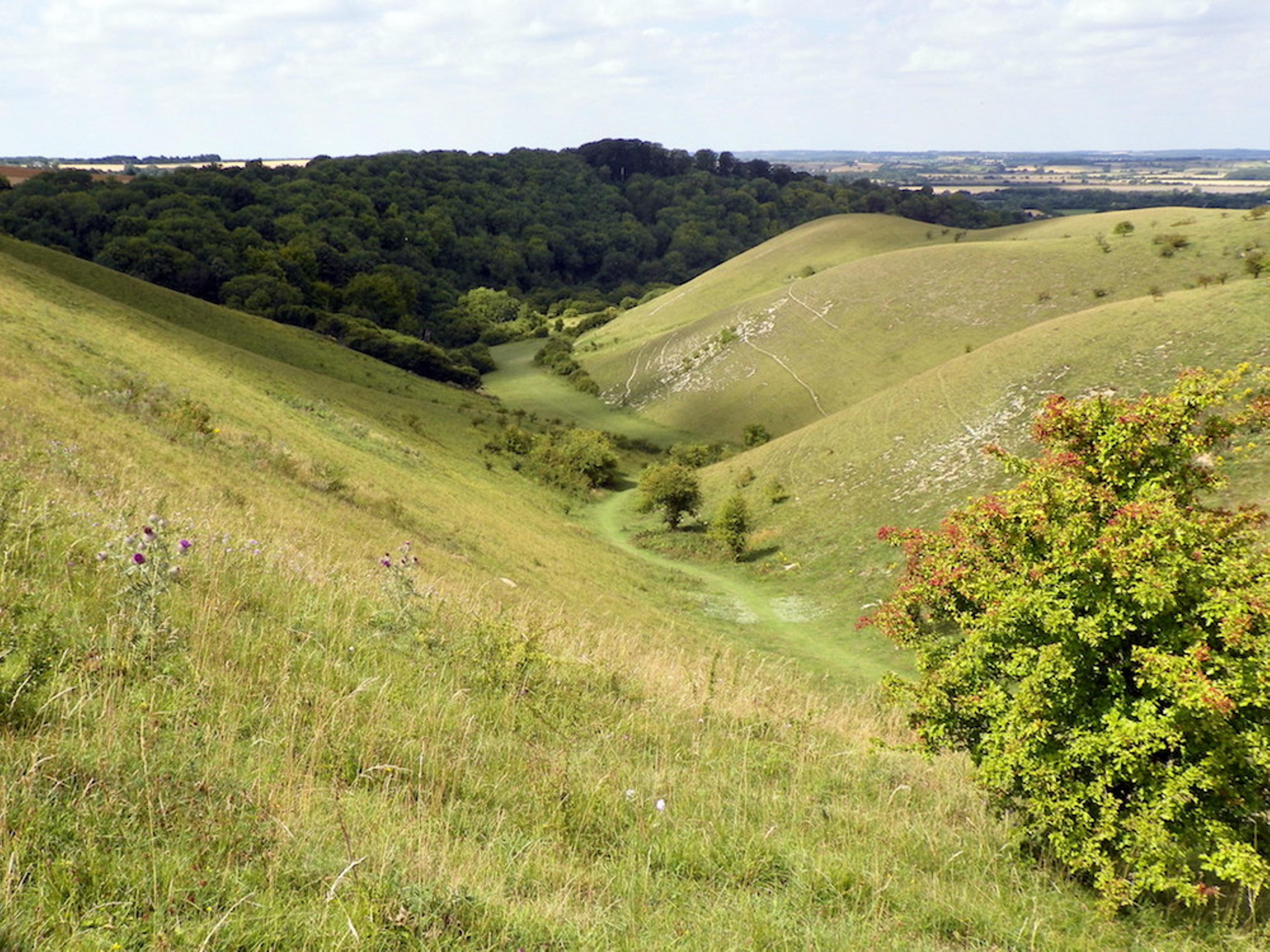 Bedfordshire